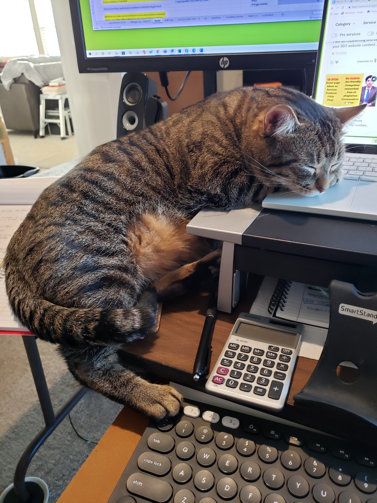 Email sign-up background